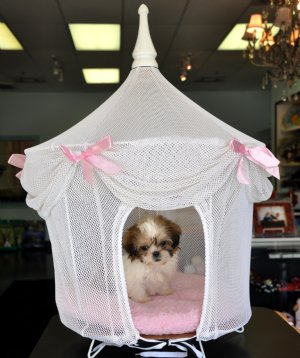 Princess Dog House<br>White and Pink