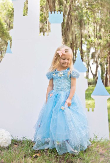 Cinderella Butterfly Dress<BR>Now in Stock