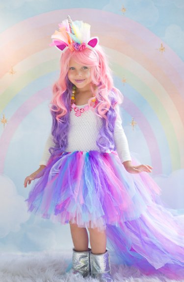 Unicorn Rainbow Wig Pink & Purple Preorder