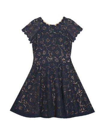 Tween Navy Lace Skater Dress<BR>12 to 16 Years ONLY