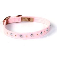 Dog Collars and Harnesses