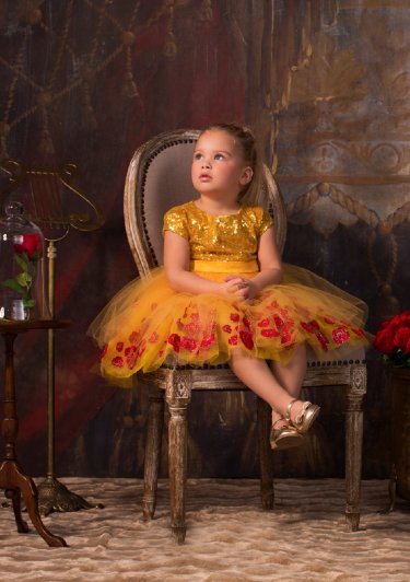 Official Disney Princess Belle Dress<BR>Now in Stock
