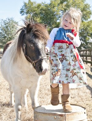 New Wyoming Cow Girl Dress