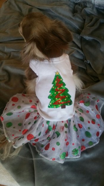Polkadot Christmas Tree Tutu Dog Dress