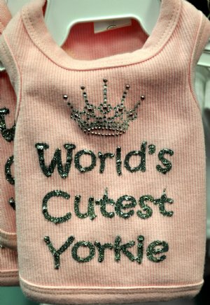 Worlds Cutest Yorkie Dog Tank<br>Available in Pink or Blue