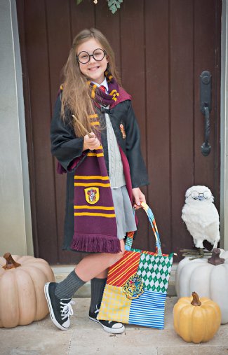 Harry Potter Scarf Preorder